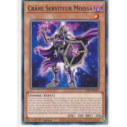 ALIN  Crâne Serviteur Moissa