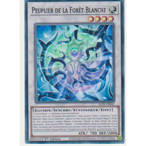 ALIN  Peuplier de la Forêt Blanche