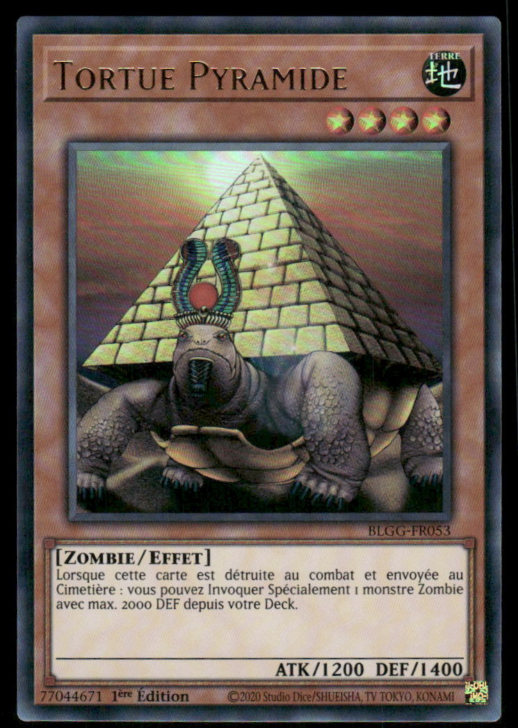 BLGG-FR053 Tortue Pyramide - French (NM)