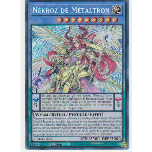 BLMM Nékroz de Métaltron
