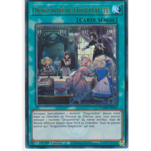 BLMM  Dragonirène Hospitalité