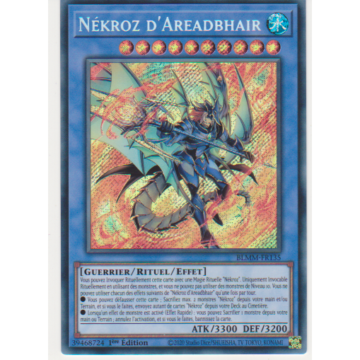 BLMM  Nékroz d'Areadbhair