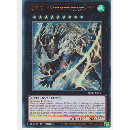 BPRO K9-X "Éventreuse/M"