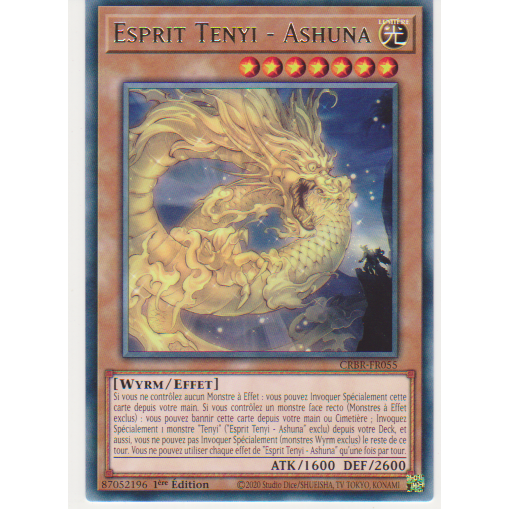 CRBR Esprit Tenyi - Ashuna