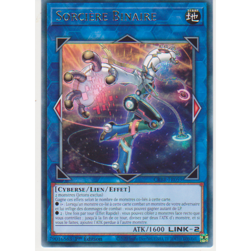 CRBR Sorcière Binaire