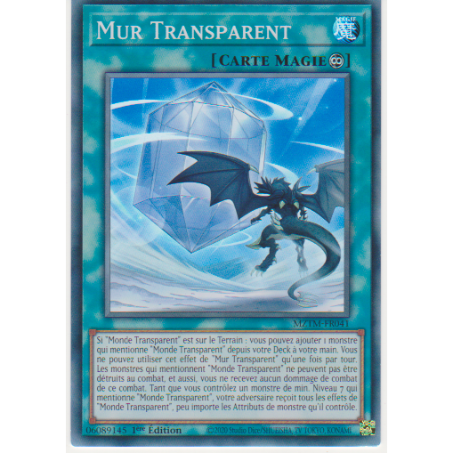 MZTM  Mur Transparent