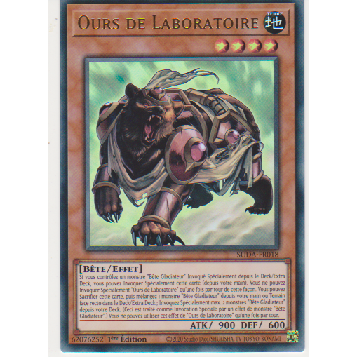 SUDA Ours de Laboratoire (V.1 - Ultra Rare)