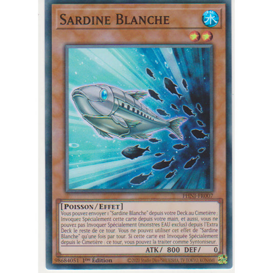 PHNI Sardine Blanche