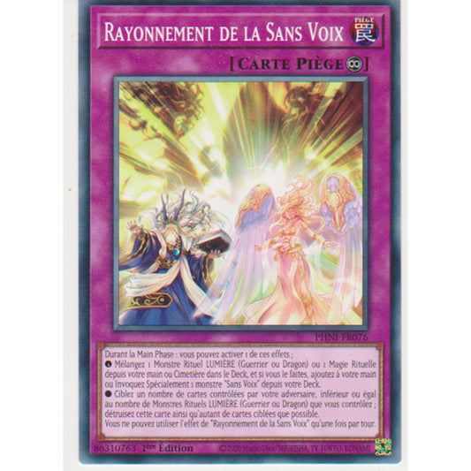 PHNI Rayonnement de la Sans Voix