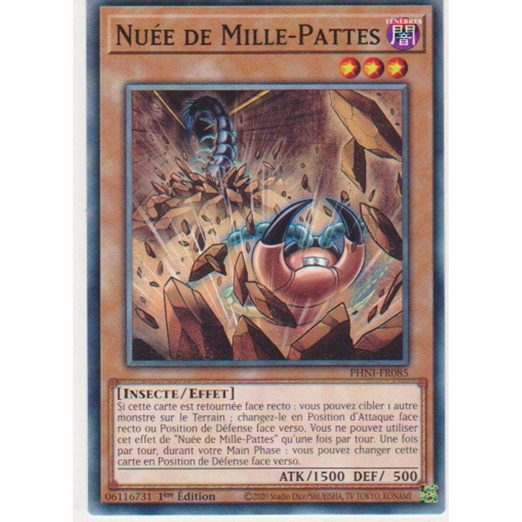 PHNI Nuée de Mille-Pattes