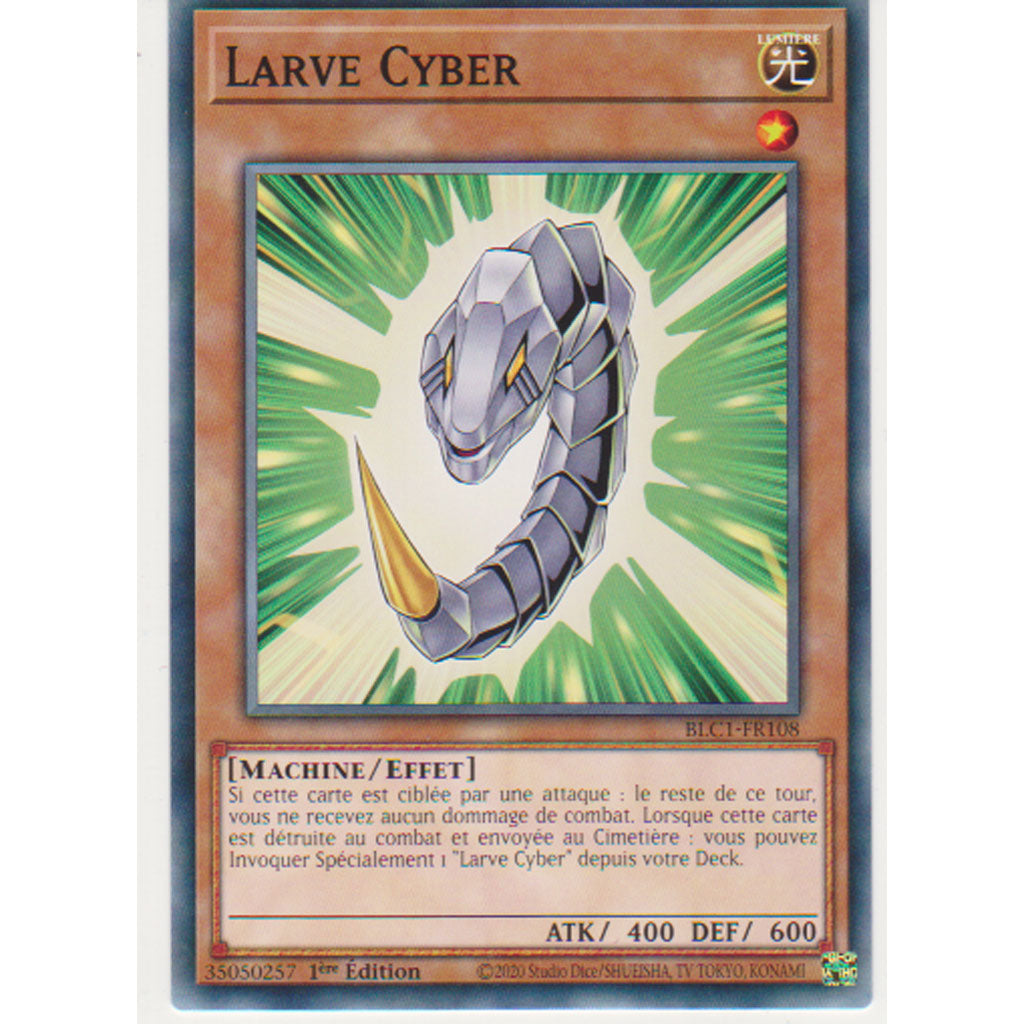 BLC1 Larve Cyber