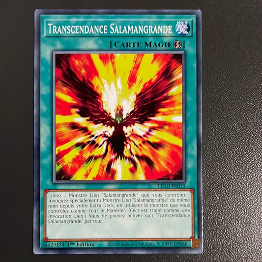 LD10  Transcendance Salamangrande