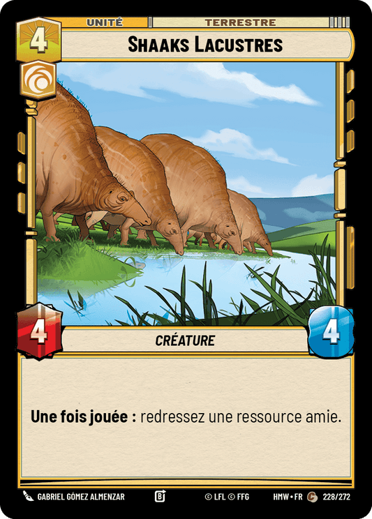 Shaaks Lacustres - HMW-228 - Standard - recto Français