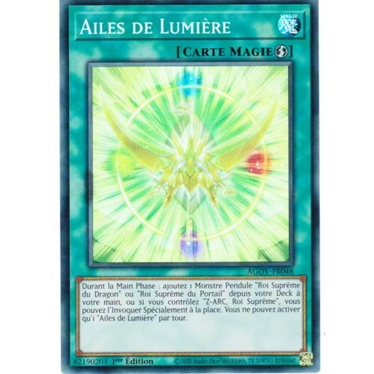 AGOV Ailes de Lumière