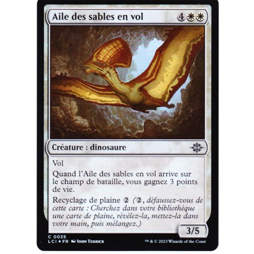 LCI Aile des sables en vol *FOIL*