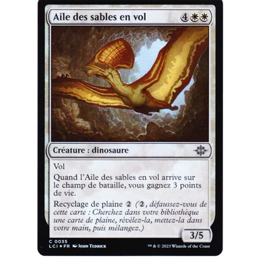 LCI Aile des sables en vol *FOIL*