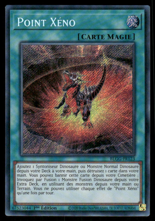 BLGG-FR123  Point Xéno - French (NM)