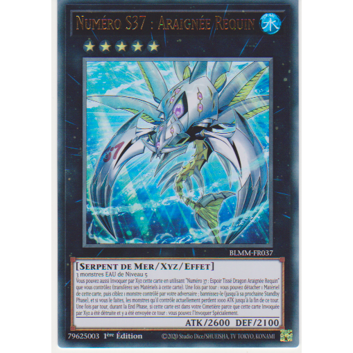 BLMM  Numéro S37 : Araignée Requin