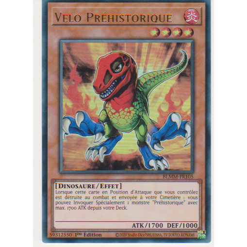 BLMM  Velo Préhistorique