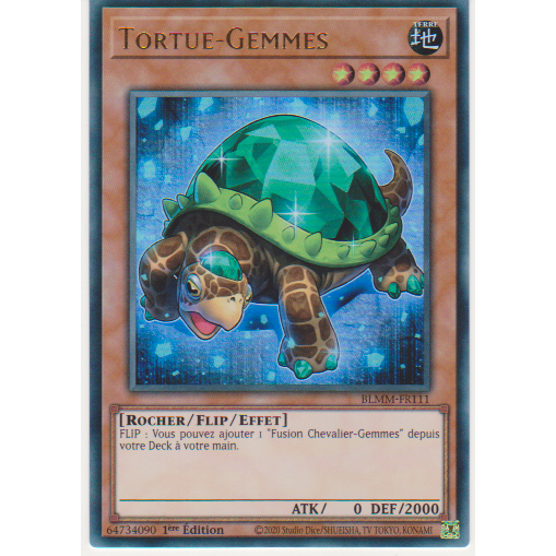 BLMM  Tortue-Gemmes