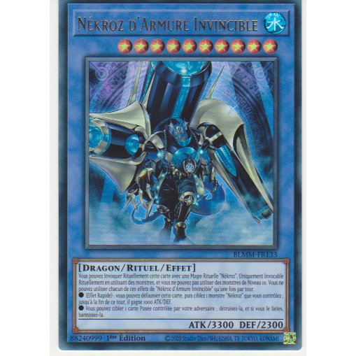 BLMM  Nékroz d'Armure Invincible