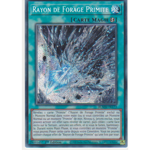 BLMM  Rayon de Forage Primite