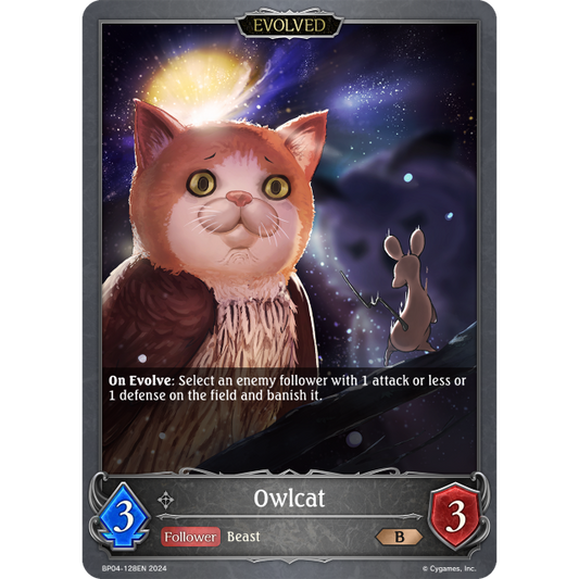 BP04-128EN Owlcat