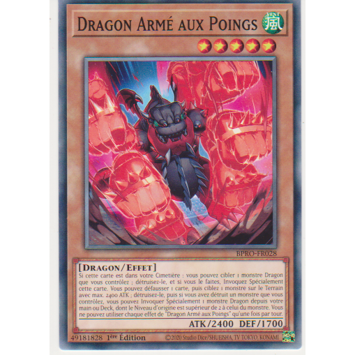 BPRO  Dragon Armé Aux Poings