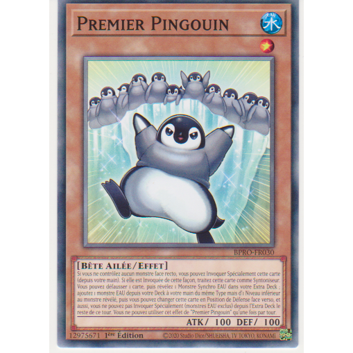BPRO  Premier Pingouin