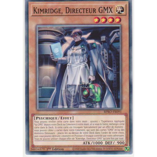 BPRO  Kimridge, Directeur GMX