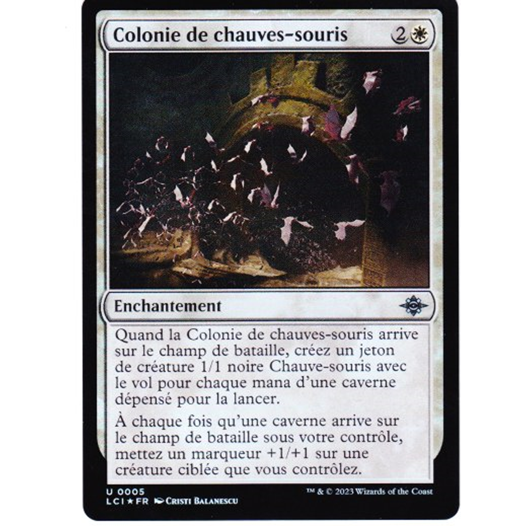 LCI Colonie de chauves-souris *FOIL*