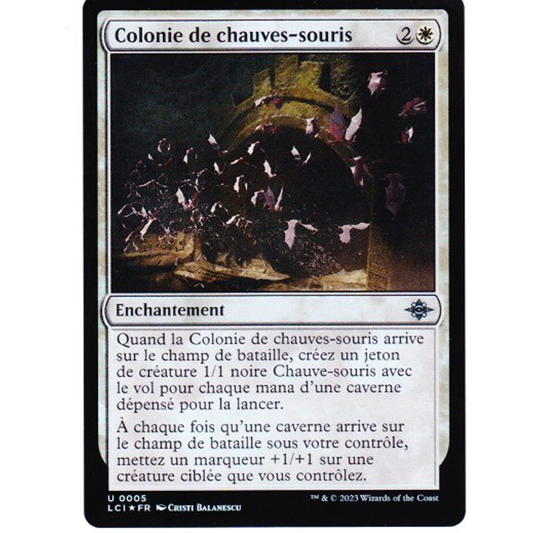 LCI Colonie de chauves-souris *FOIL*