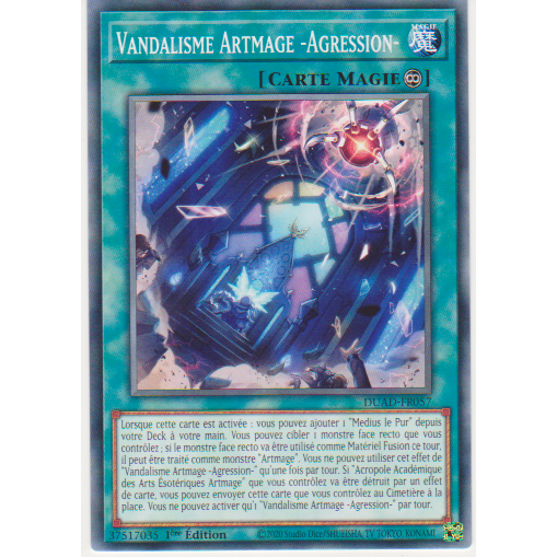 DUAD  Vandalisme Artmage -Agression-