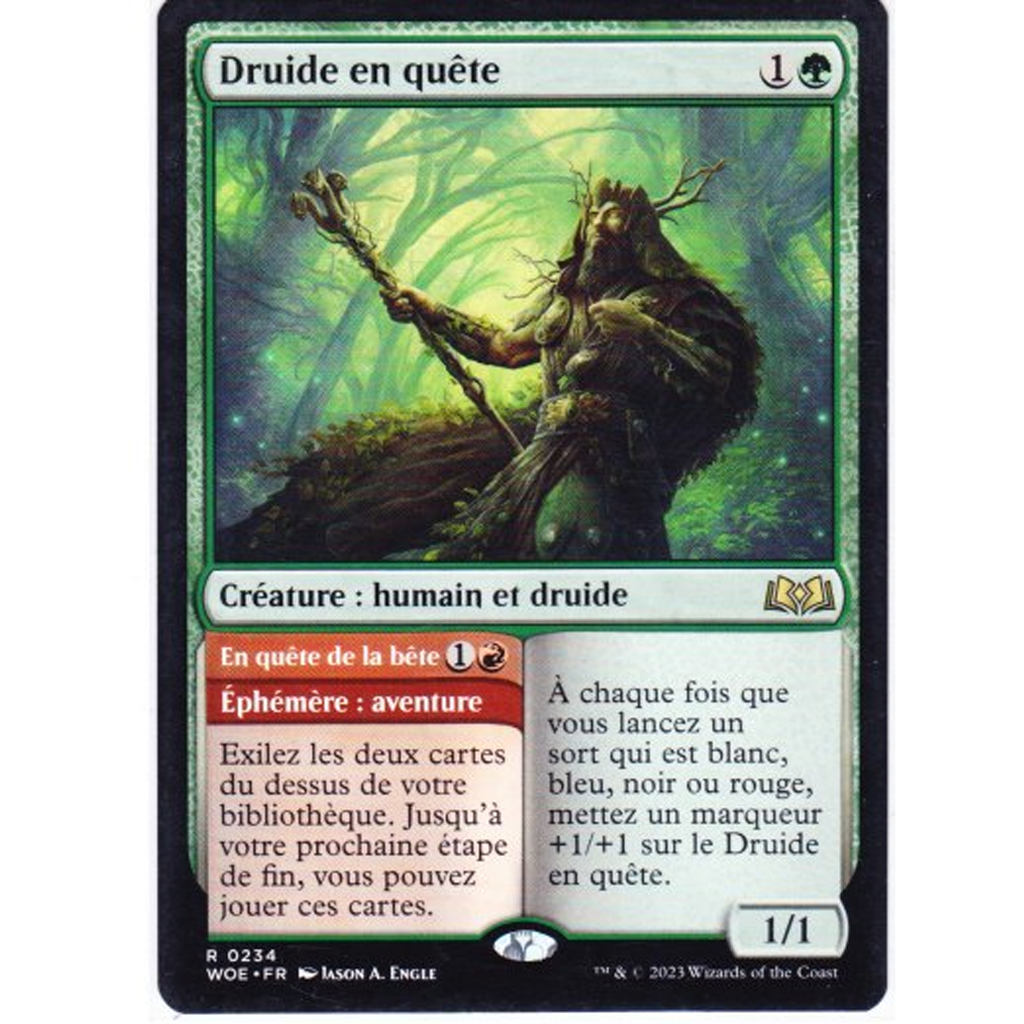 Druide en quête