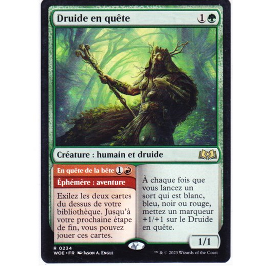 Druide en quête