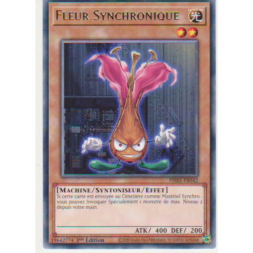 PHRE  Fleur Synchronique