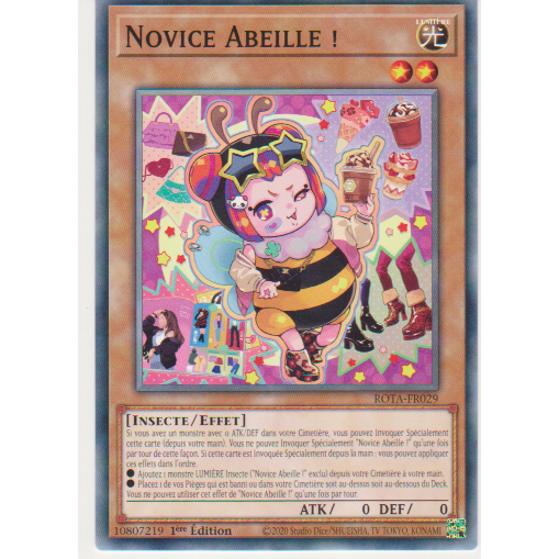 ROTA Novice Abeille !