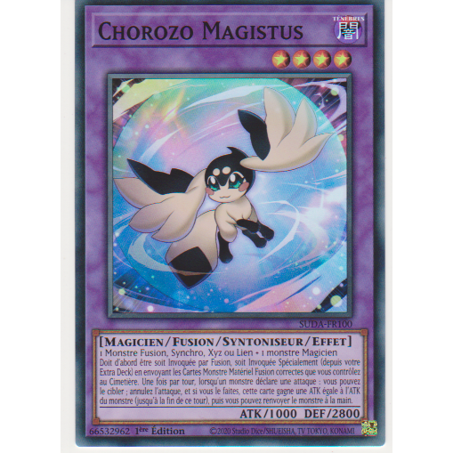 SUDA  Chorozo Magistus