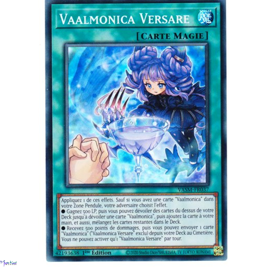 VASM Vaalmonica Versare