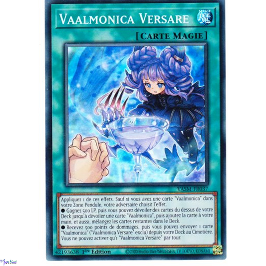 VASM Vaalmonica Versare