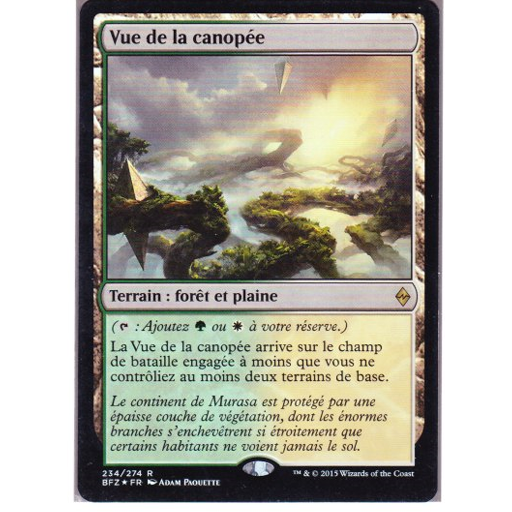 BFZ Vue de la canopée *FOIL*