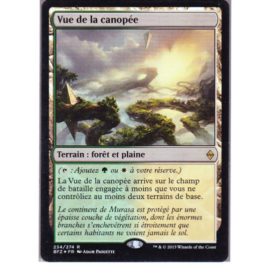 BFZ Vue de la canopée *FOIL*