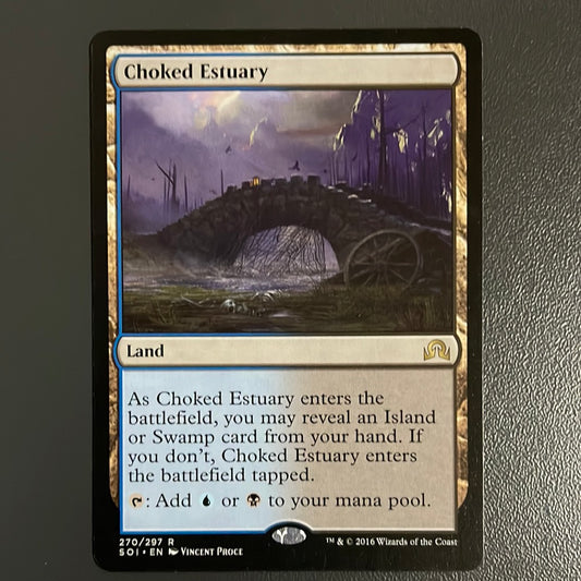 SOI Choked Estuary