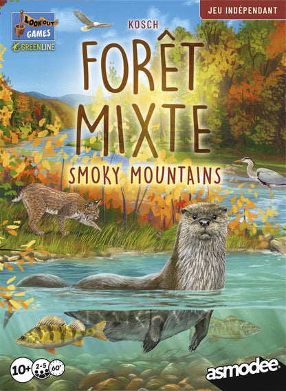 Forêt Mixte Smoky Mountains