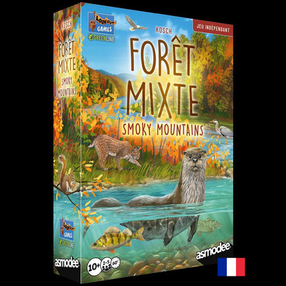 Forêt Mixte Smoky Mountains